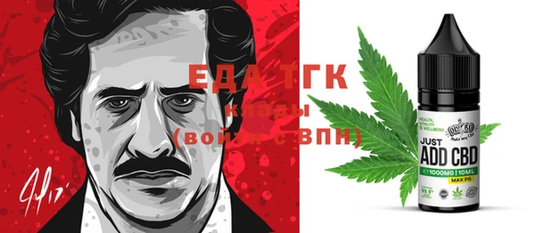 гашик Бородино