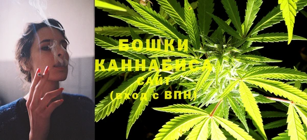 гашик Бородино